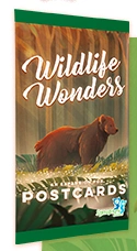 Postcards - Wildlife Wonders