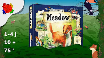  Meadow , de la vidéo en plus !