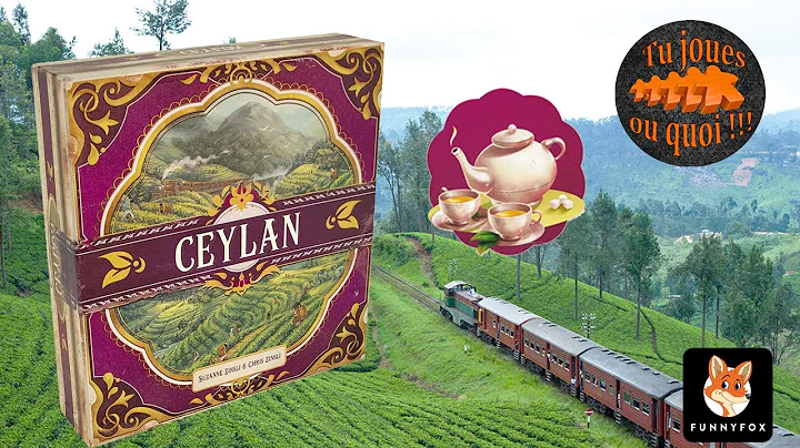 Ceylan, de la vidéo en plus !